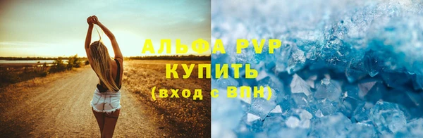 сатива Волоколамск