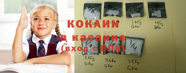 сатива Волоколамск