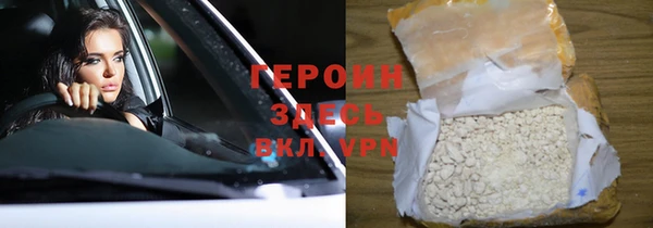 сатива Волоколамск