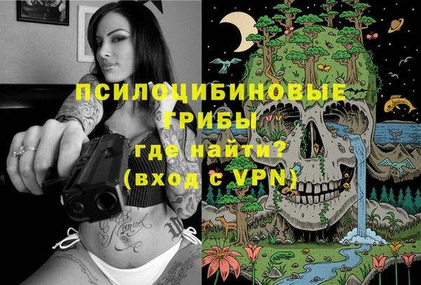 сатива Волоколамск