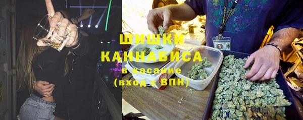 прущие крисы Вяземский
