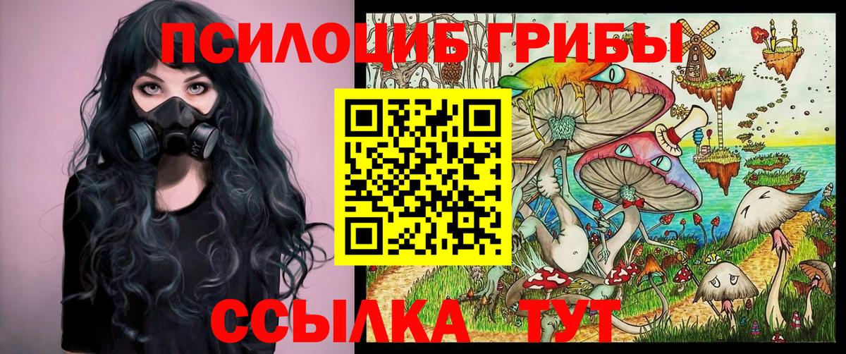Псилоцибиновые грибы Psilocybine cubensis  Вход с VPN  Назарово 