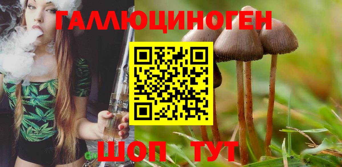 Галлюциногенные грибы мицелий Назарово